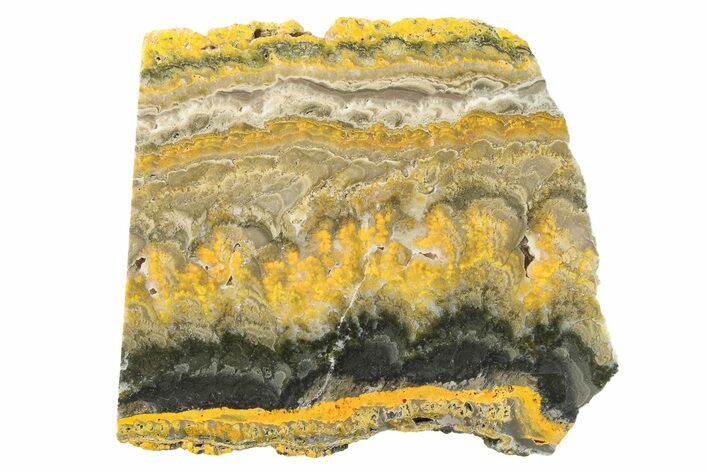 Polished Bumblebee Jasper Slab - Indonesia #279575